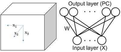 An Energy Model of Place Cell Network in Three Dimensional Space